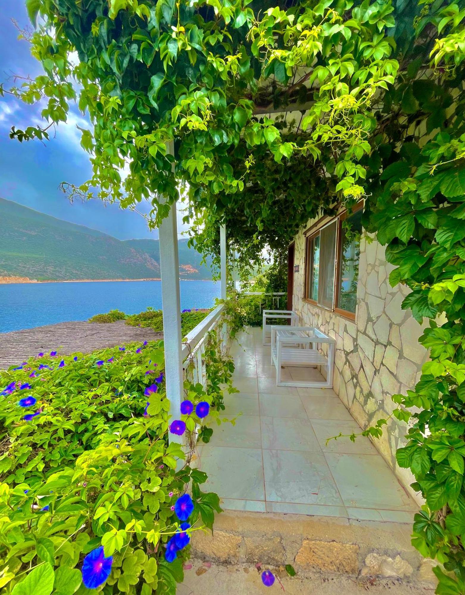 Korsanada Hotel كاس المظهر الخارجي الصورة